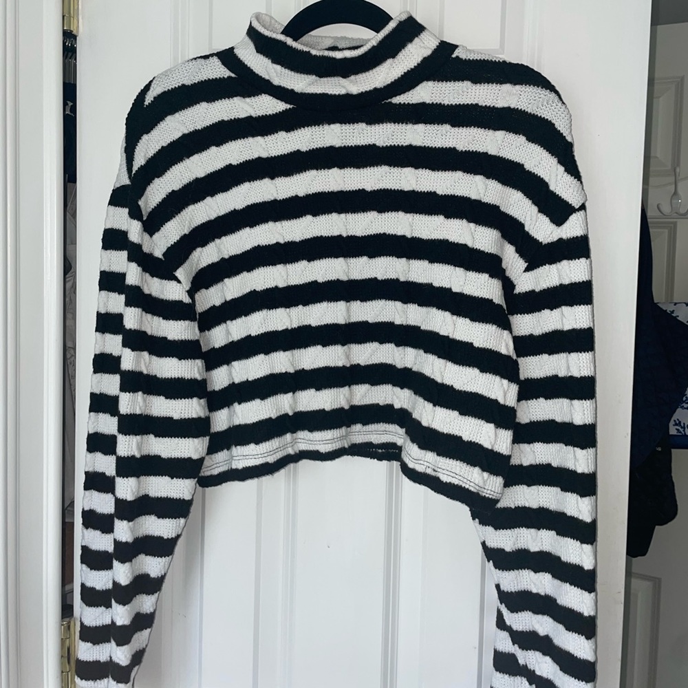 ZARA (Spain) Striped Turtle Neck Sweater